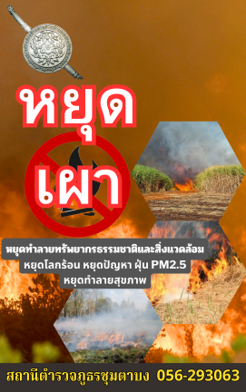 หยุด เผา